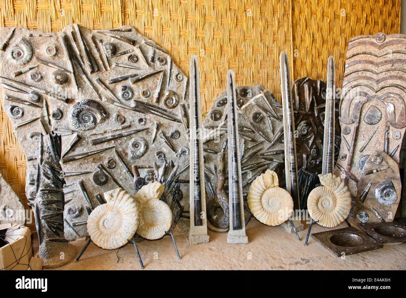 Moroccan Fossil Decor