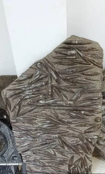 Moroccan Fossil Decor
