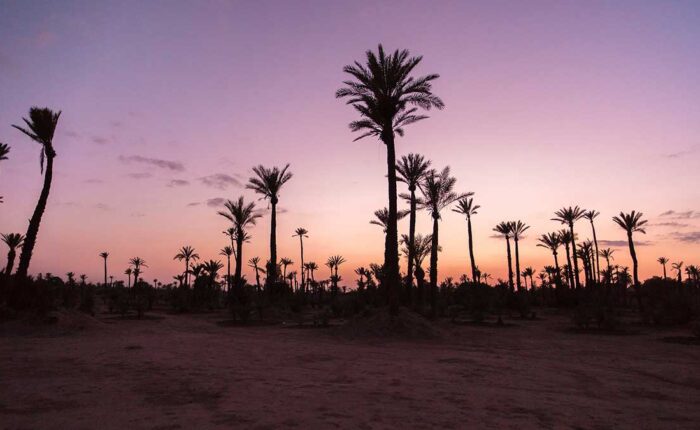 10-Day Morocco Desert Tour