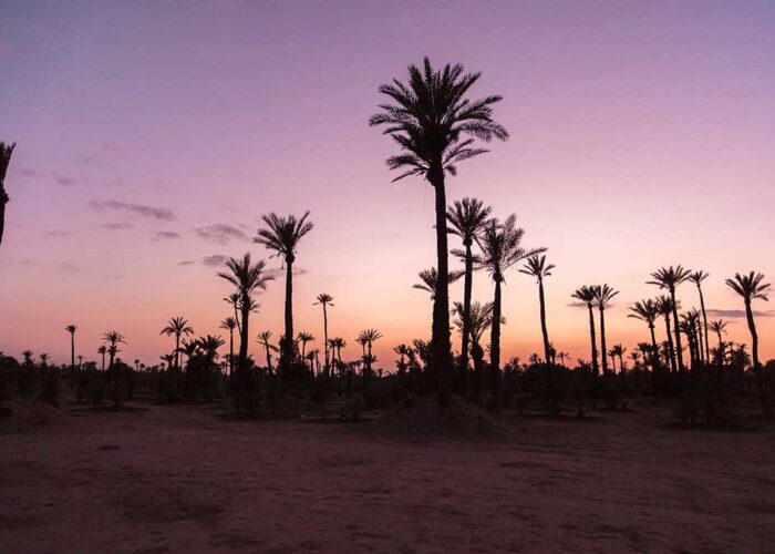 10-Day Morocco Desert Tour